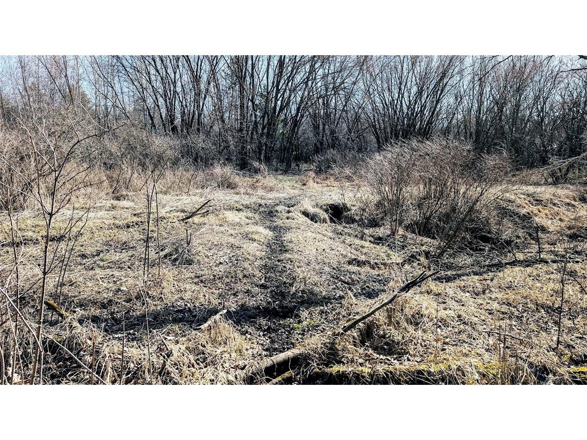 N48025 County Road B Osseo WI 54758 - Timber Creek 1590789 image32
