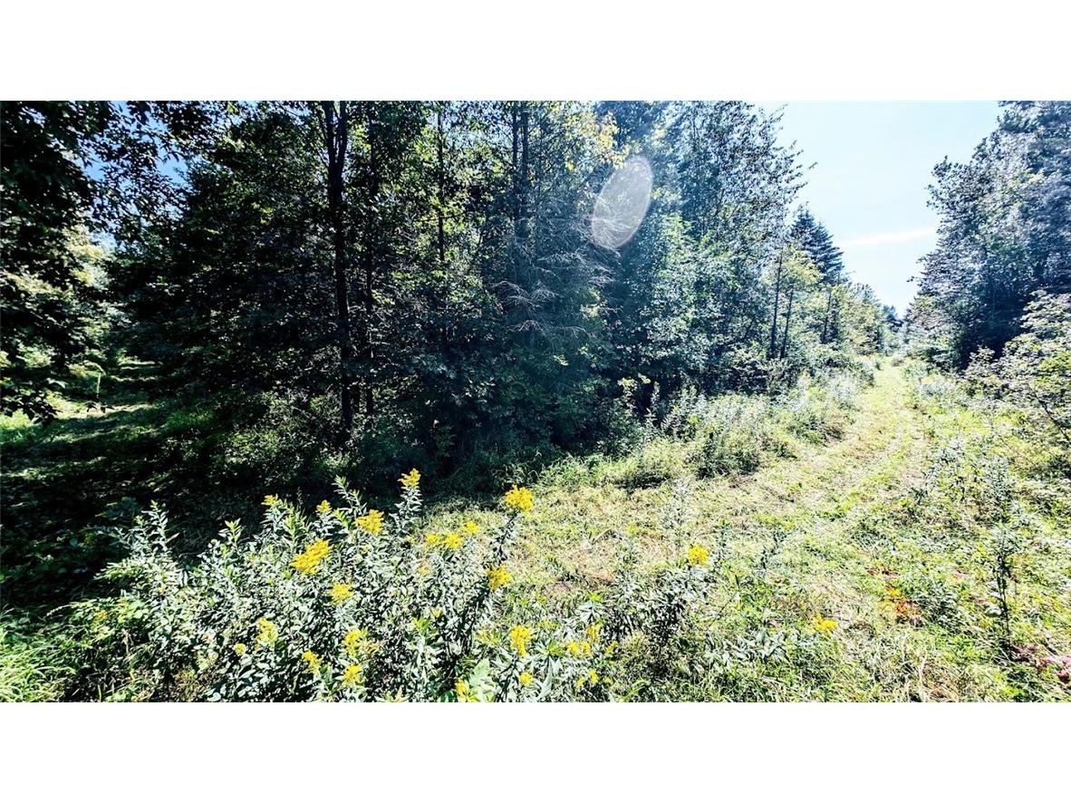 N48025 County Road B Osseo WI 54758 - Timber Creek 1590789 image33