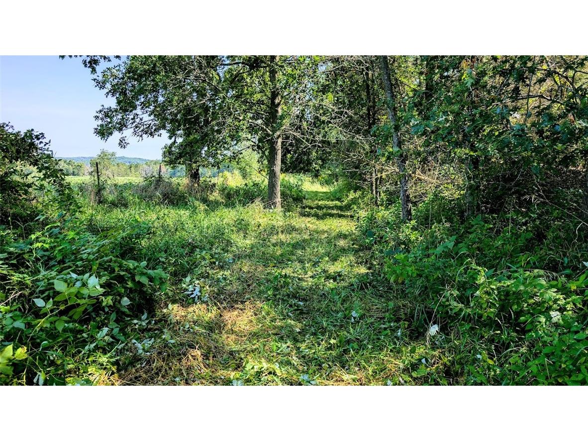 N48025 County Road B Osseo WI 54758 - Timber Creek 1590789 image35