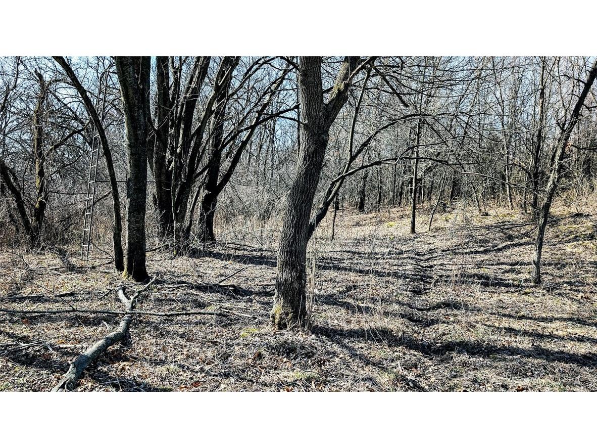 N48025 County Road B Osseo WI 54758 - Timber Creek 1590789 image39