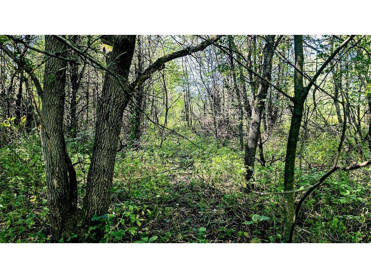 N48025 County Road B Osseo WI 54758 - Timber Creek 1590789 image40