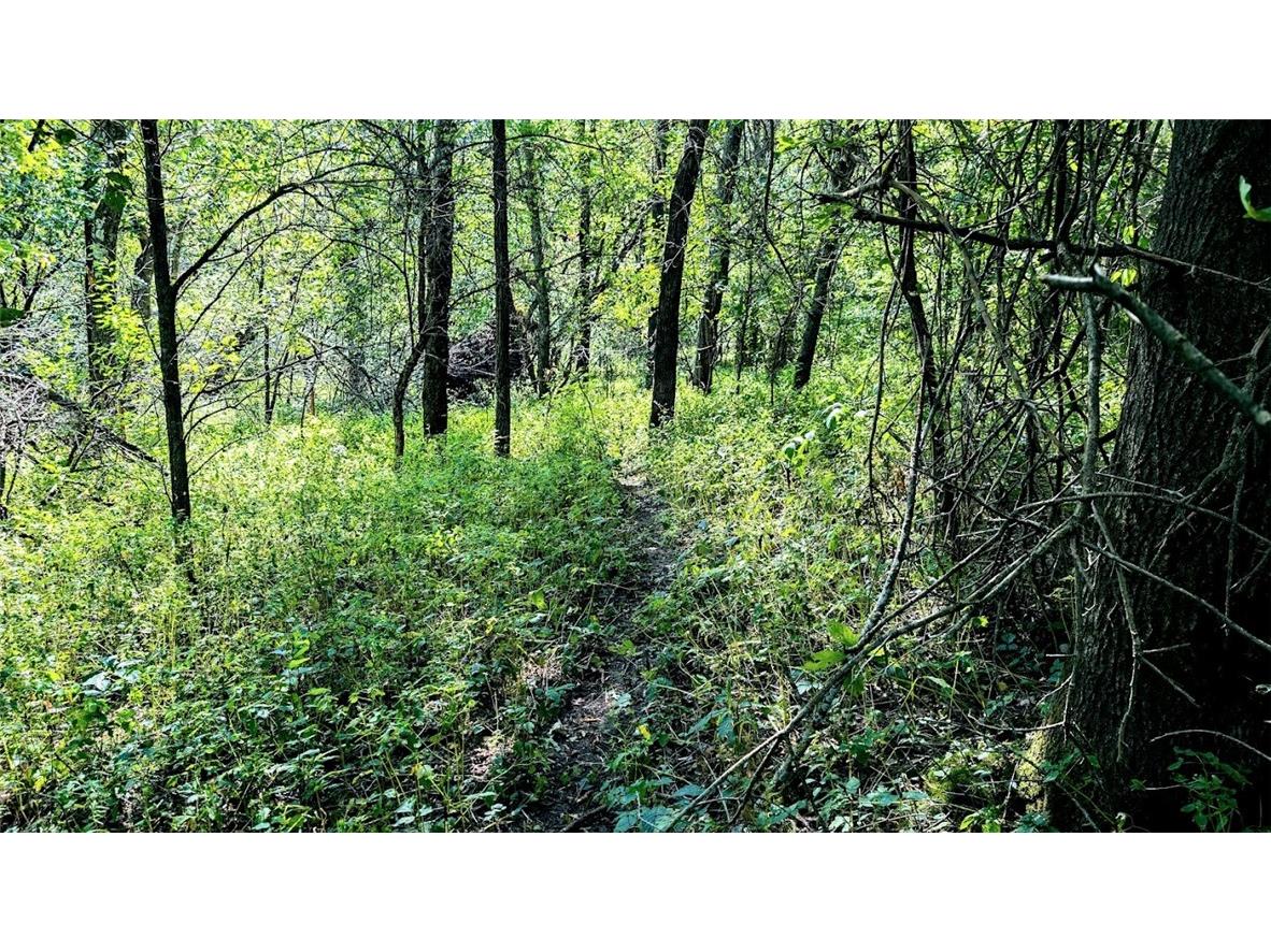 N48025 County Road B Osseo WI 54758 - Timber Creek 1590789 image41