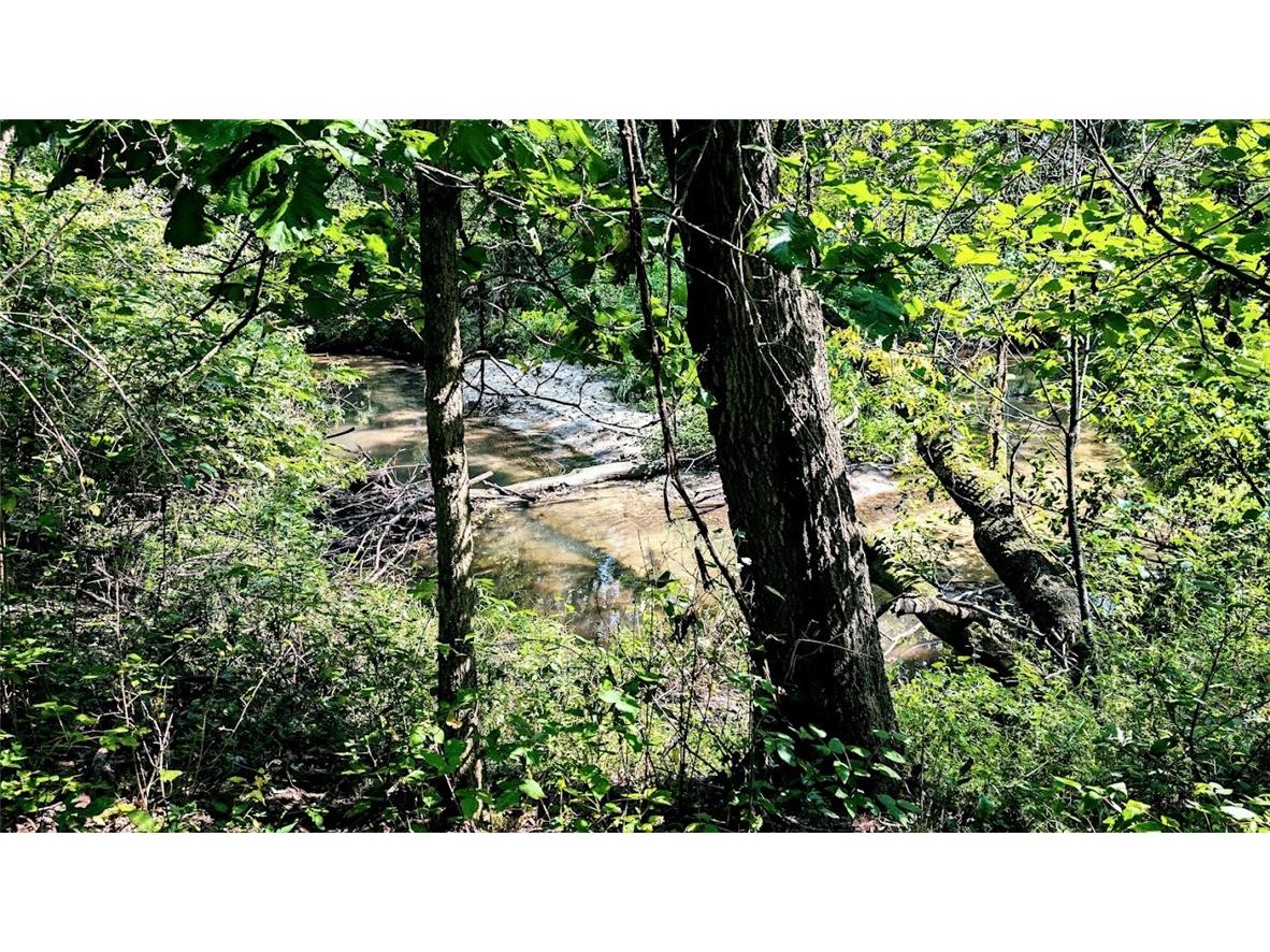 N48025 County Road B Osseo WI 54758 - Timber Creek 1590789 image43