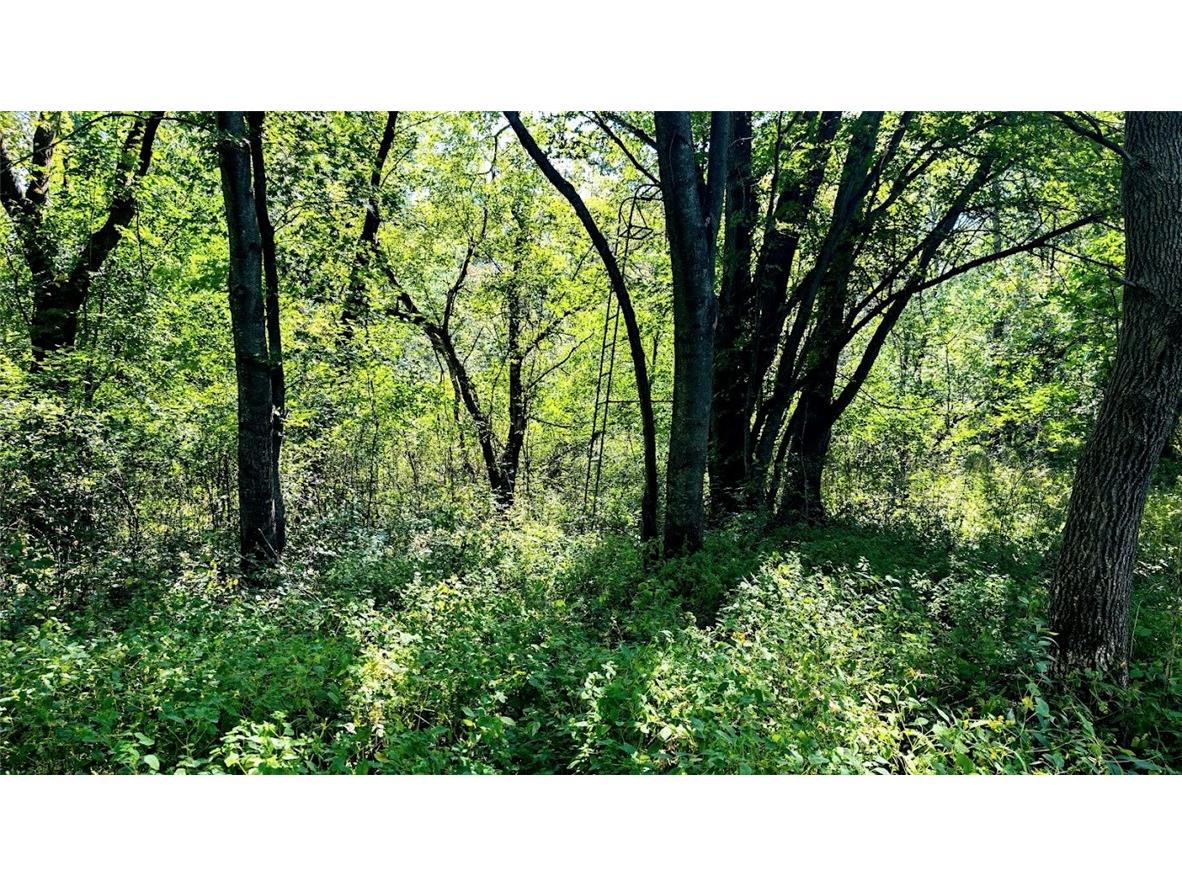 N48025 County Road B Osseo WI 54758 - Timber Creek 1590789 image44