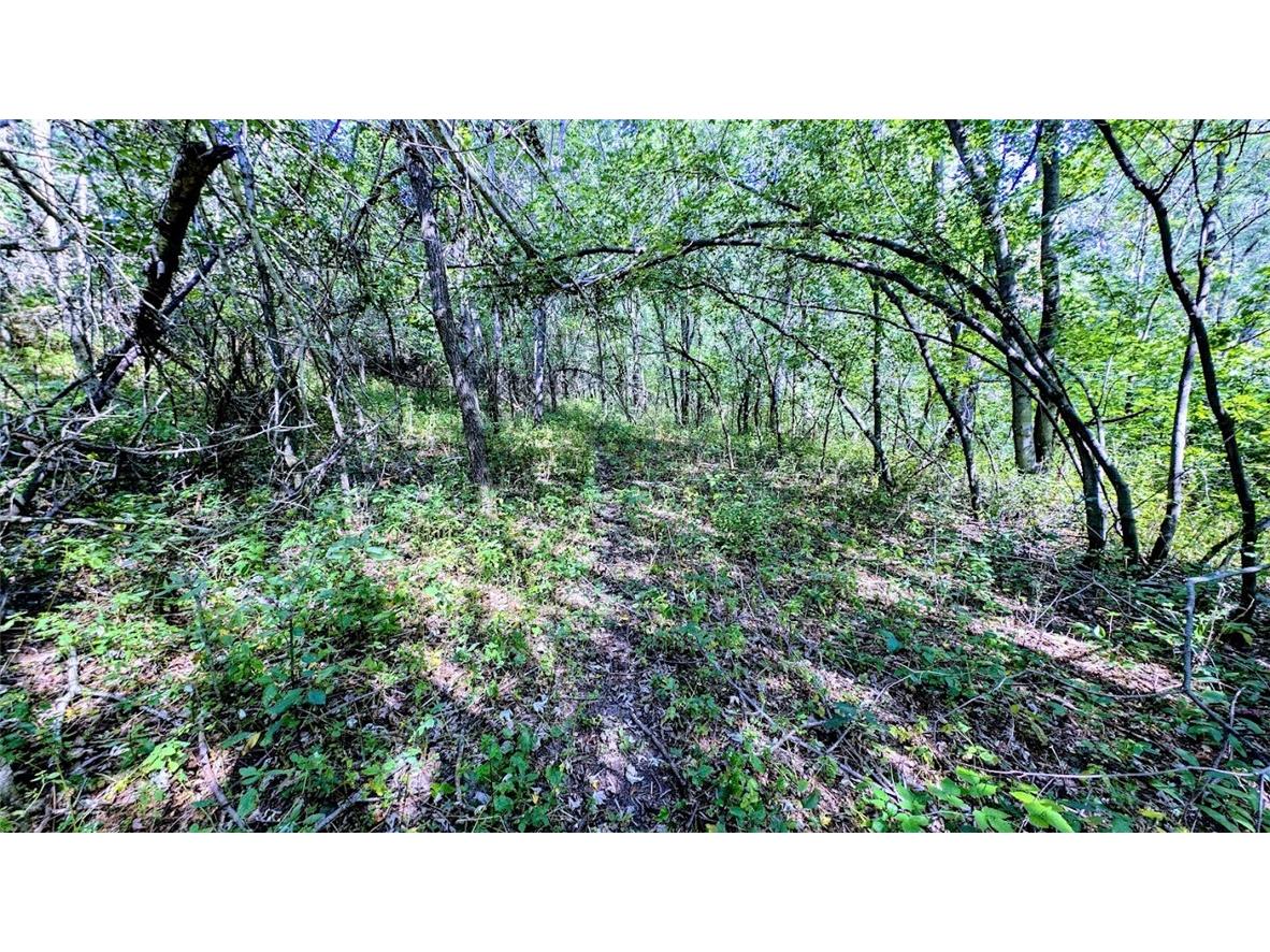 N48025 County Road B Osseo WI 54758 - Timber Creek 1590789 image45