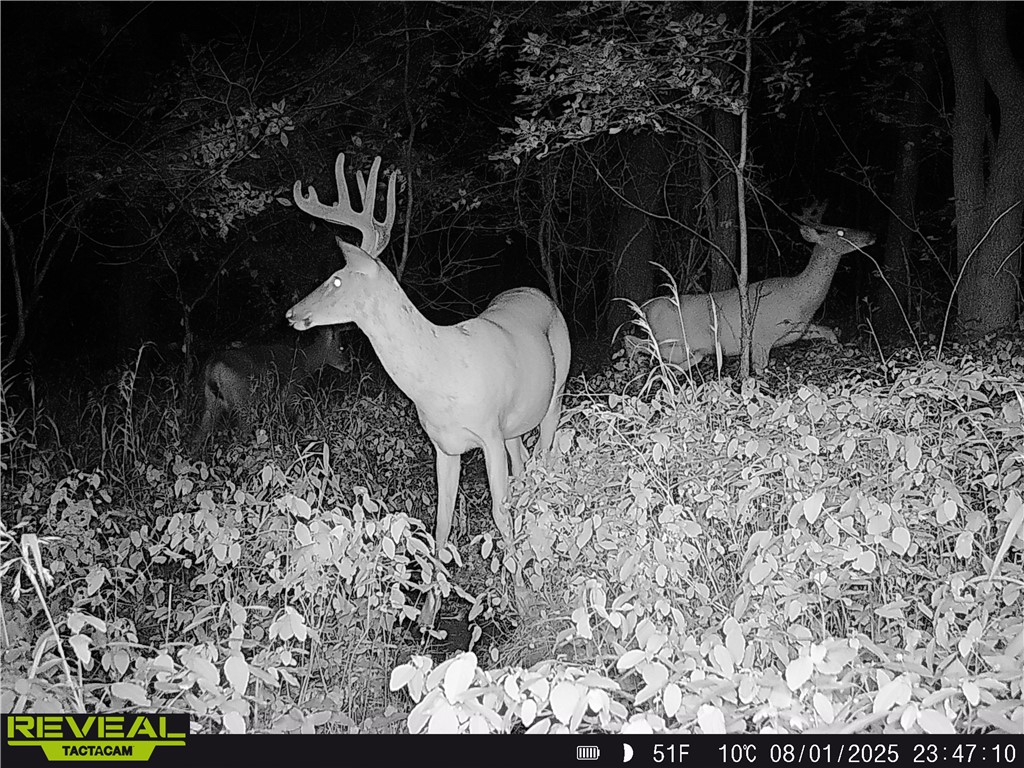 N48025 County Road B Osseo WI 54758 - Timber Creek 1590789 image49