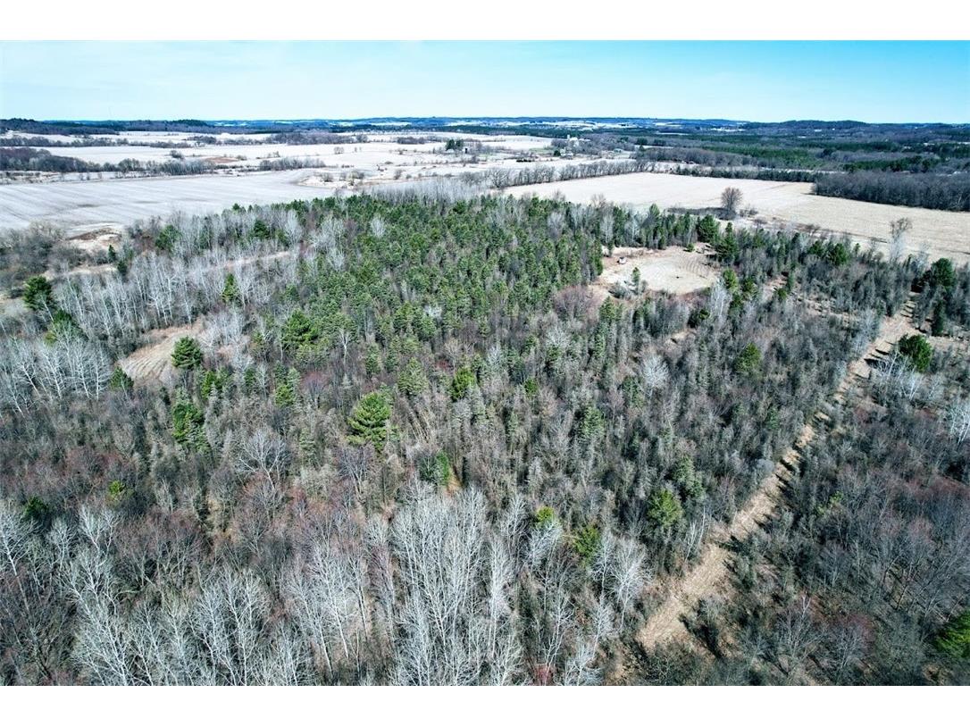 N48025 County Road B Osseo WI 54758 - Timber Creek 1590789 image5