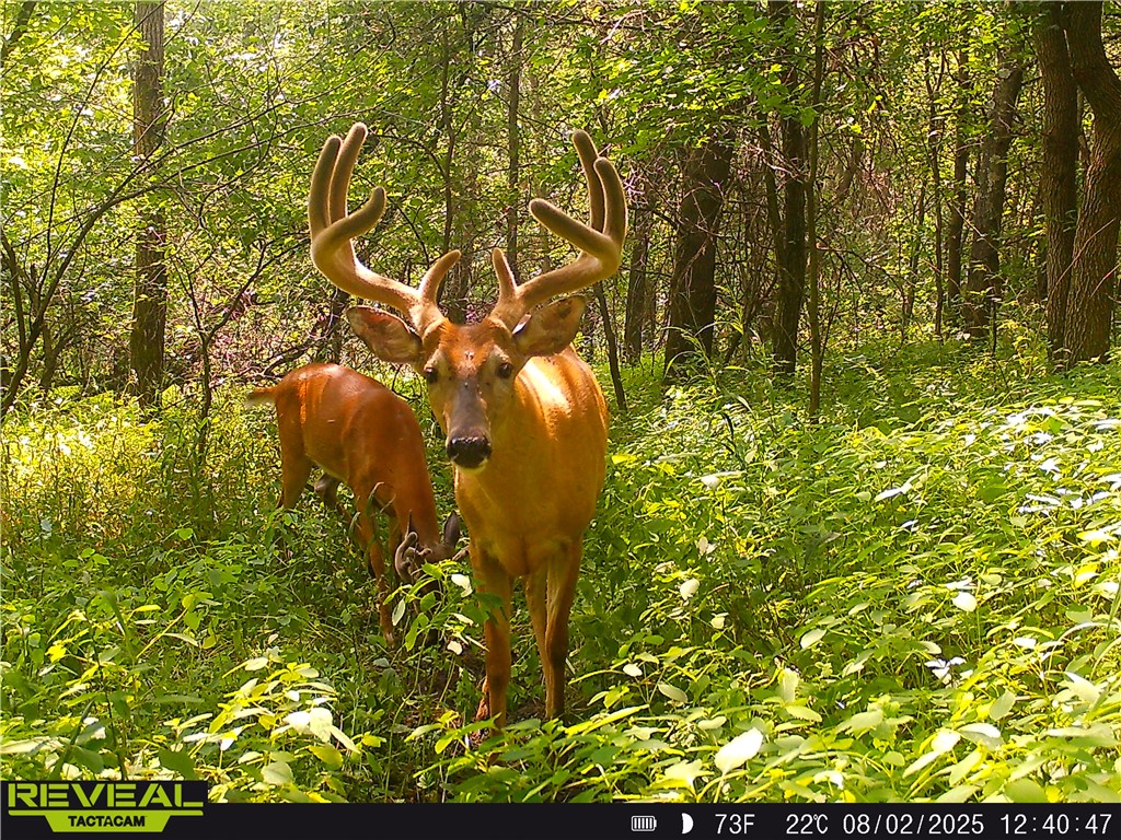 N48025 County Road B Osseo WI 54758 - Timber Creek 1590789 image50