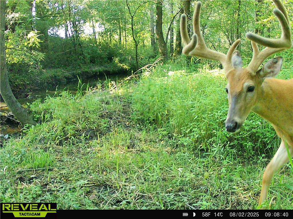 N48025 County Road B Osseo WI 54758 - Timber Creek 1590789 image51