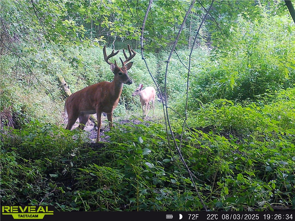 N48025 County Road B Osseo WI 54758 - Timber Creek 1590789 image52