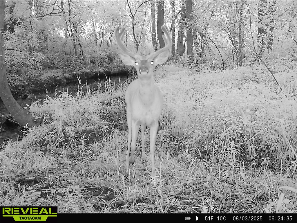 N48025 County Road B Osseo WI 54758 - Timber Creek 1590789 image53