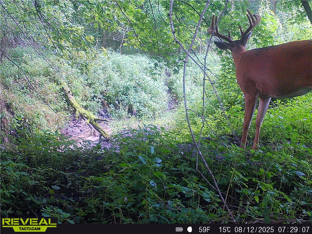 N48025 County Road B Osseo WI 54758 - Timber Creek 1590789 image54