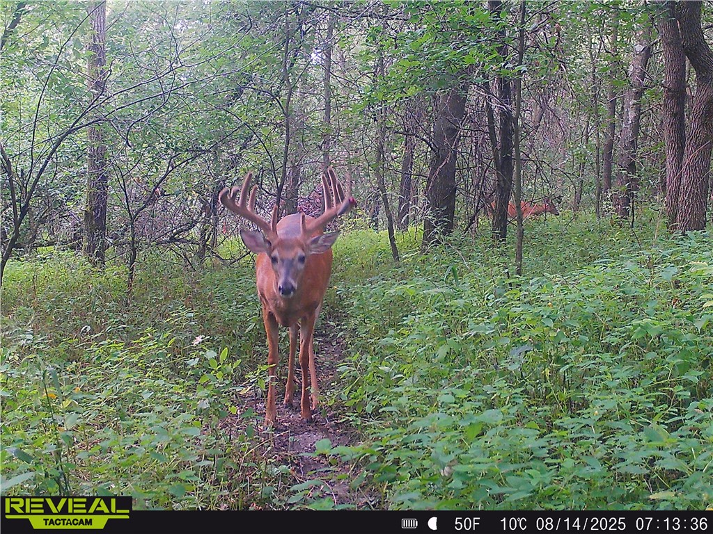 N48025 County Road B Osseo WI 54758 - Timber Creek 1590789 image55
