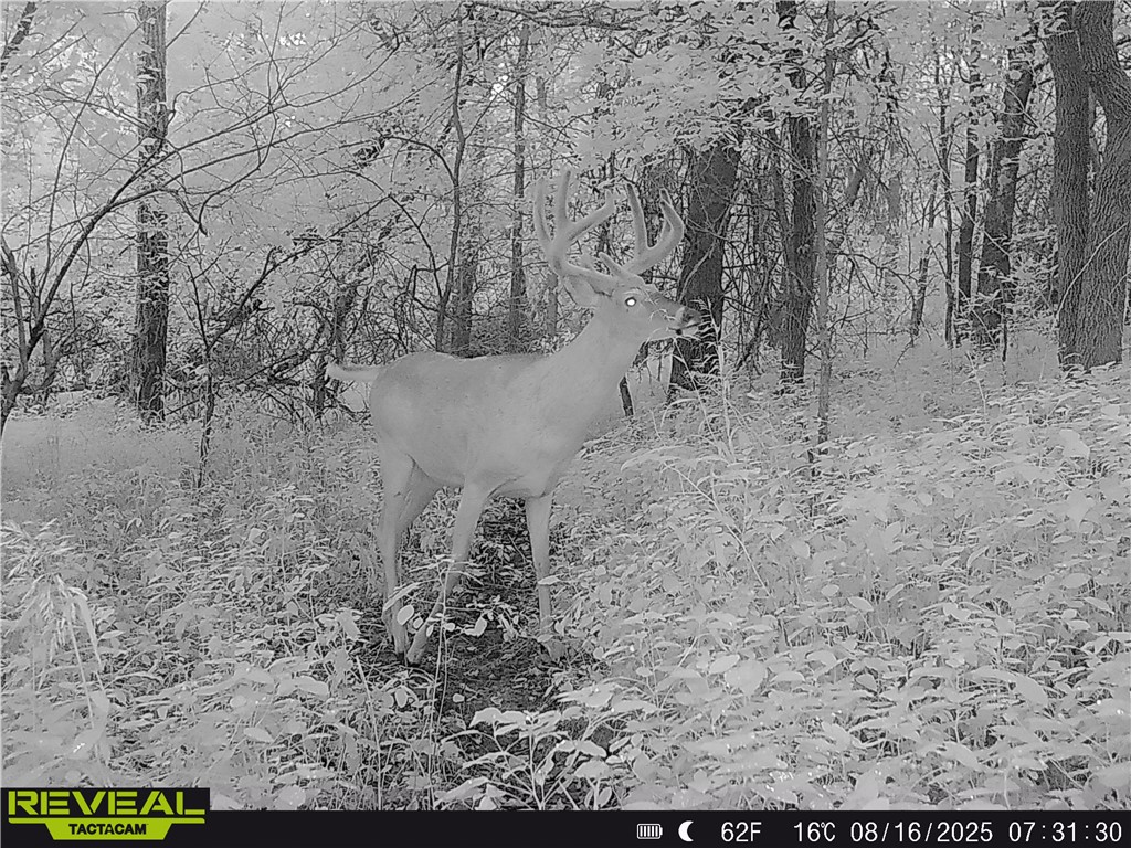 N48025 County Road B Osseo WI 54758 - Timber Creek 1590789 image56