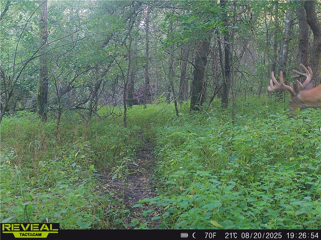 N48025 County Road B Osseo WI 54758 - Timber Creek 1590789 image57