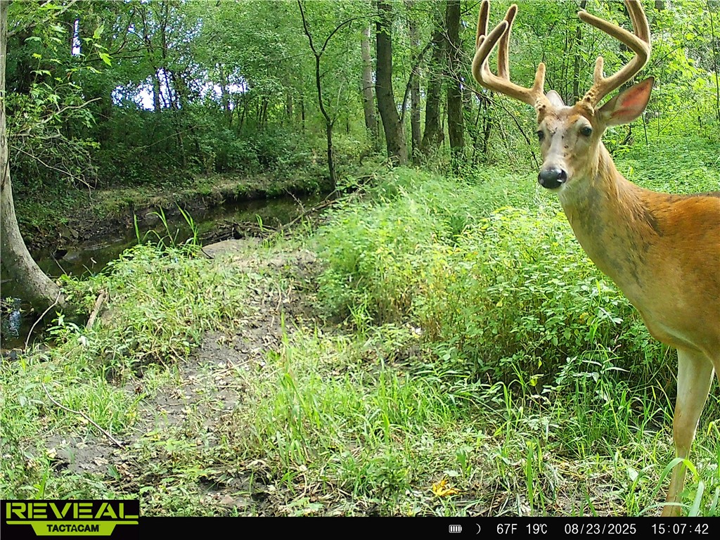 N48025 County Road B Osseo WI 54758 - Timber Creek 1590789 image58