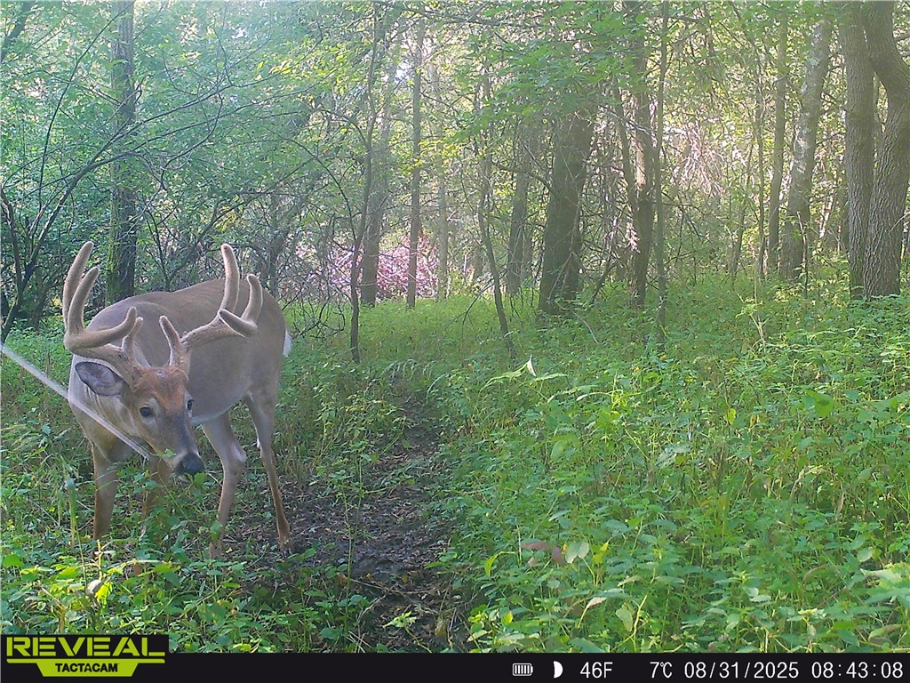 N48025 County Road B Osseo WI 54758 - Timber Creek 1590789 image59