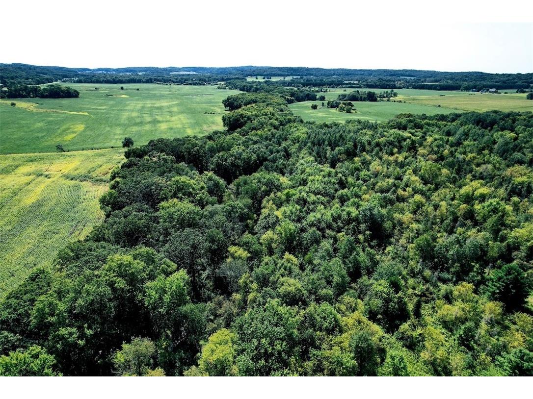N48025 County Road B Osseo WI 54758 - Timber Creek 1590789 image6