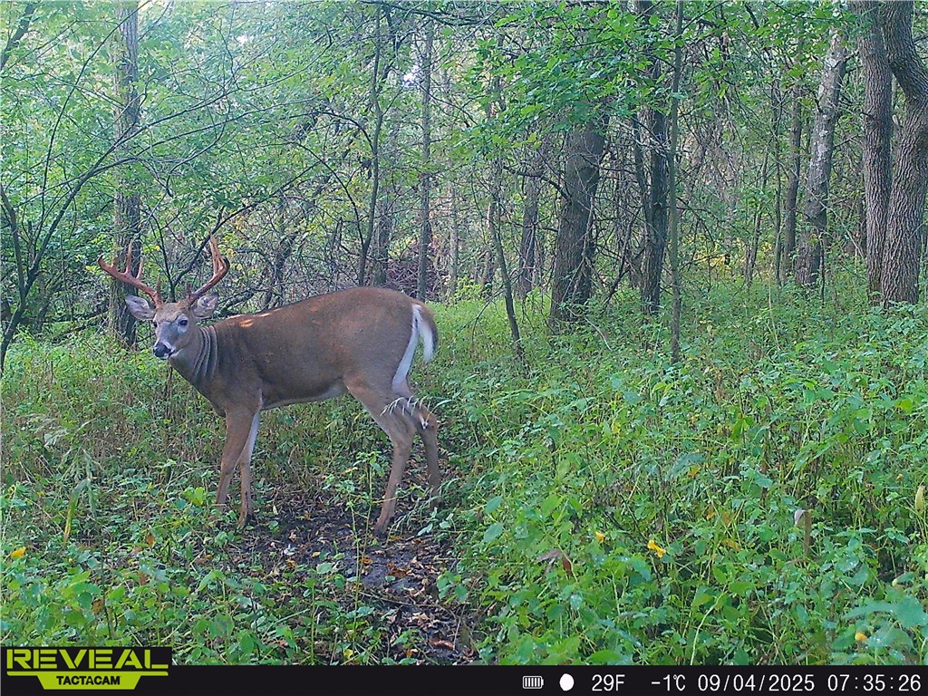 N48025 County Road B Osseo WI 54758 - Timber Creek 1590789 image60