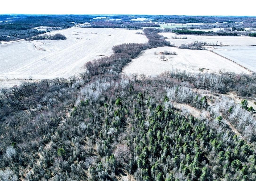N48025 County Road B Osseo WI 54758 - Timber Creek 1590789 image7