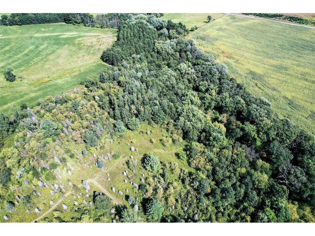 N48025 County Road B Osseo WI 54758 - Timber Creek 1590789 image8