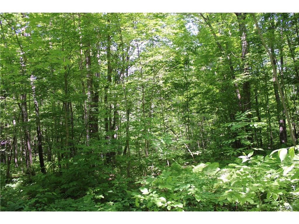 N4886 & N462 Ben-Thom RD Road Spooner WI 54801 1574005 image1