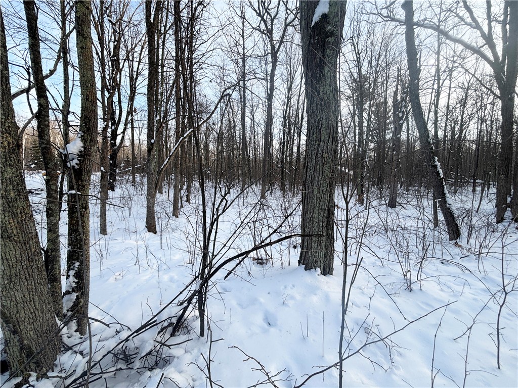 N5009 Degenaar Drive Spooner WI 54801 1597770 image9