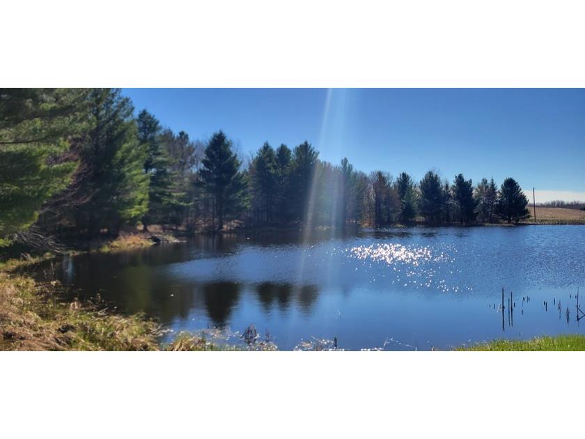 N514 Lehman Lake Rd Barronett WI 54813 - POND 1600446 image8