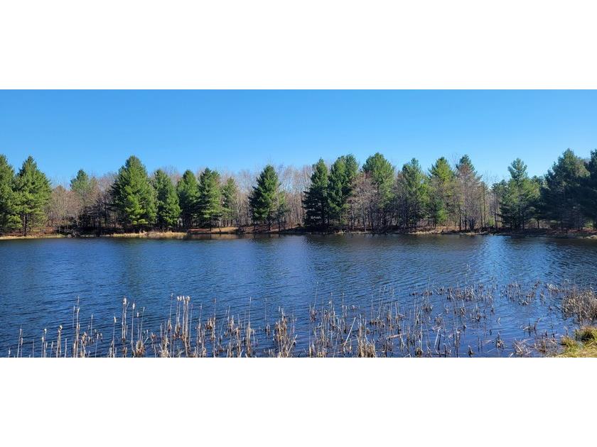 N514 Lehman Lake Rd Barronett WI 54813 - POND 1600446 image9