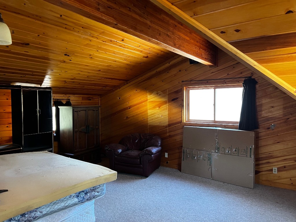N539 Lone Pine Drive Chetek WI 54728 - Fish 1598263 image58