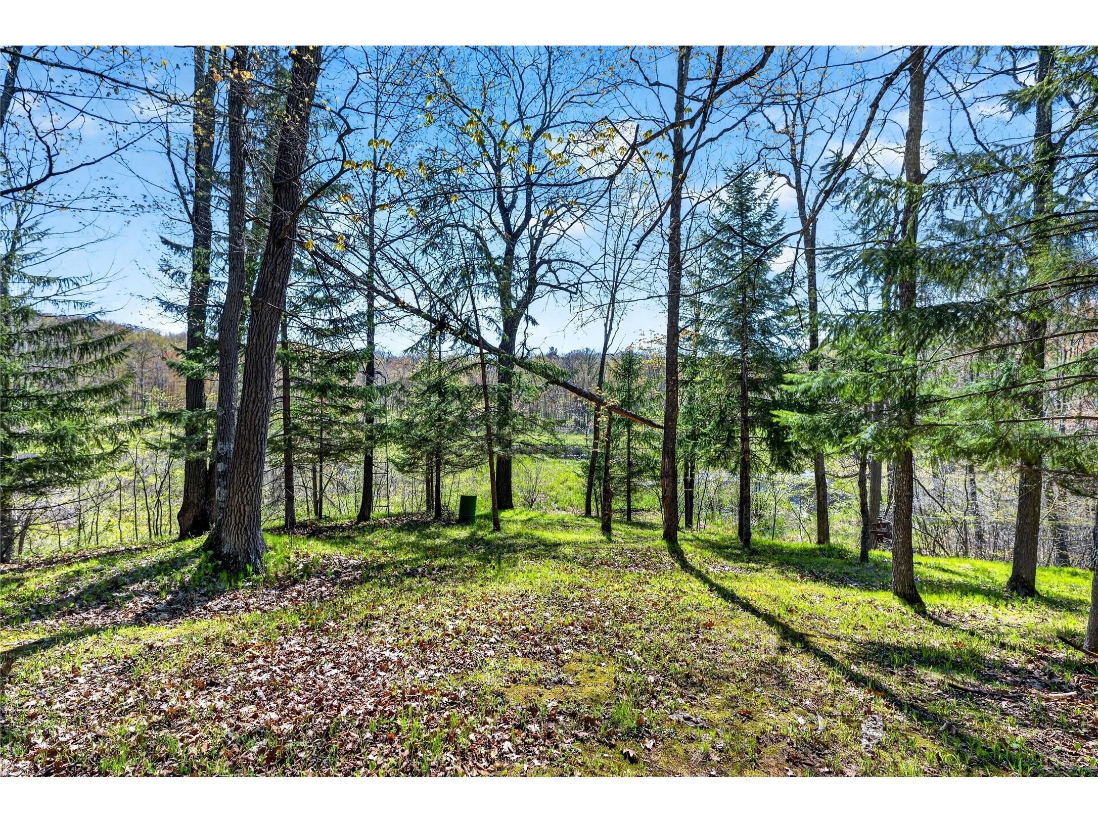 N576 Big Kegama Road Sarona WI 54870 - Kekegama 1601119 image43