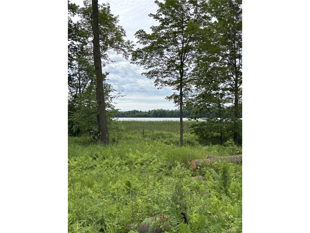 N6004 Thronson Drive Ladysmith WI 54848 - Flambeau 1592866 image3