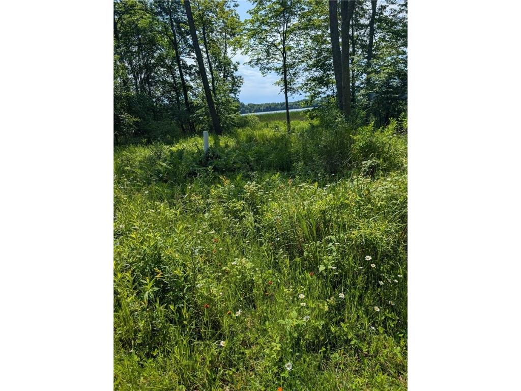 N6004 Thronson Drive Ladysmith WI 54848 - Flambeau 1592866 image4