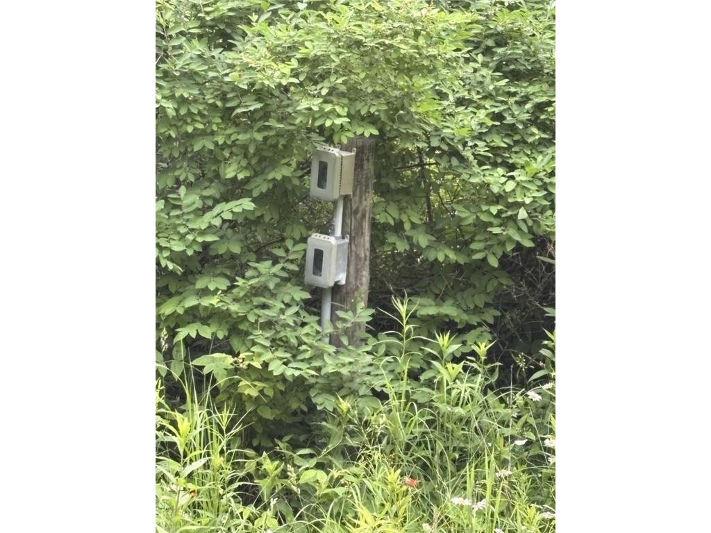 N6004 Thronson Drive Ladysmith WI 54848 - Flambeau 1592866 image6