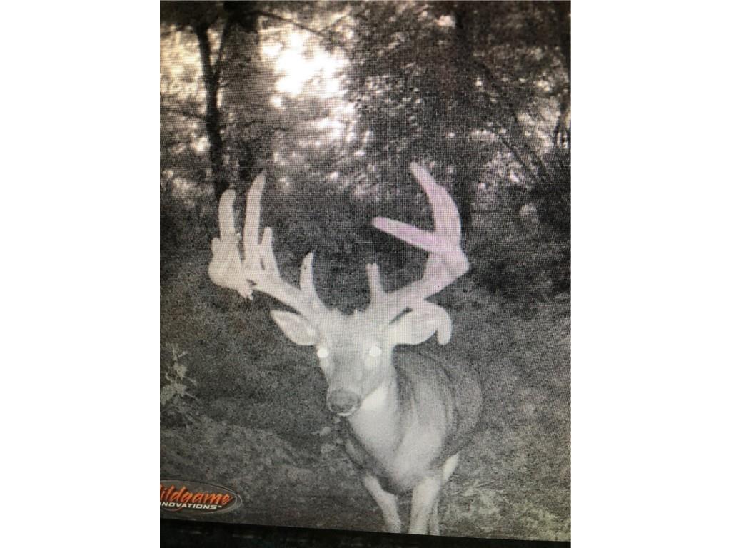 N6083 Dorwin Mill Road Durand WI 54736 1583944 image1