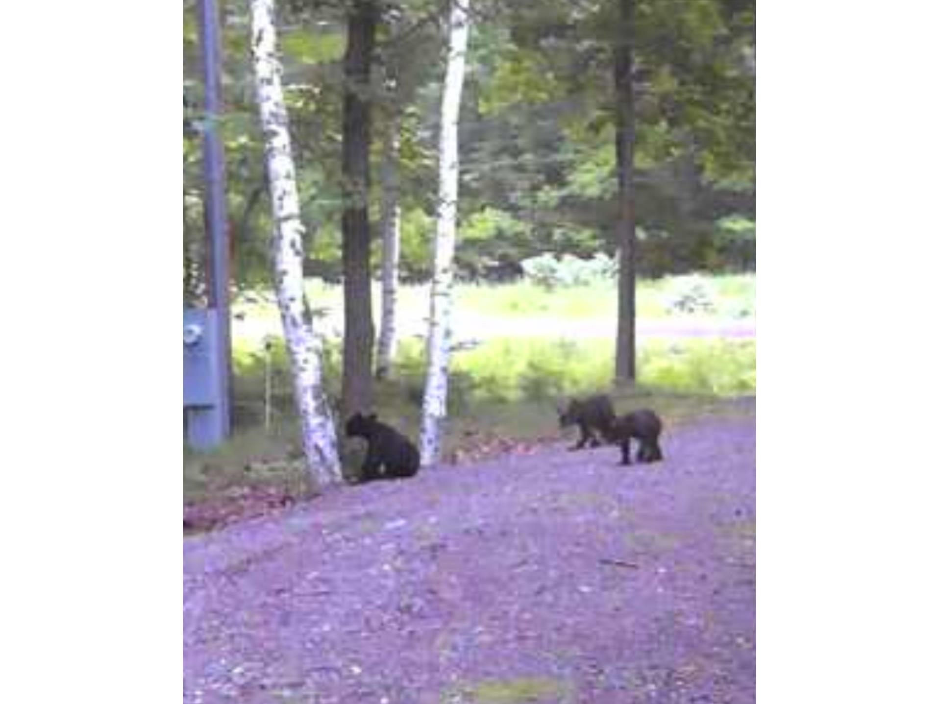 N6209 Deerwood Drive Ladysmith WI 54848 1602627 image14