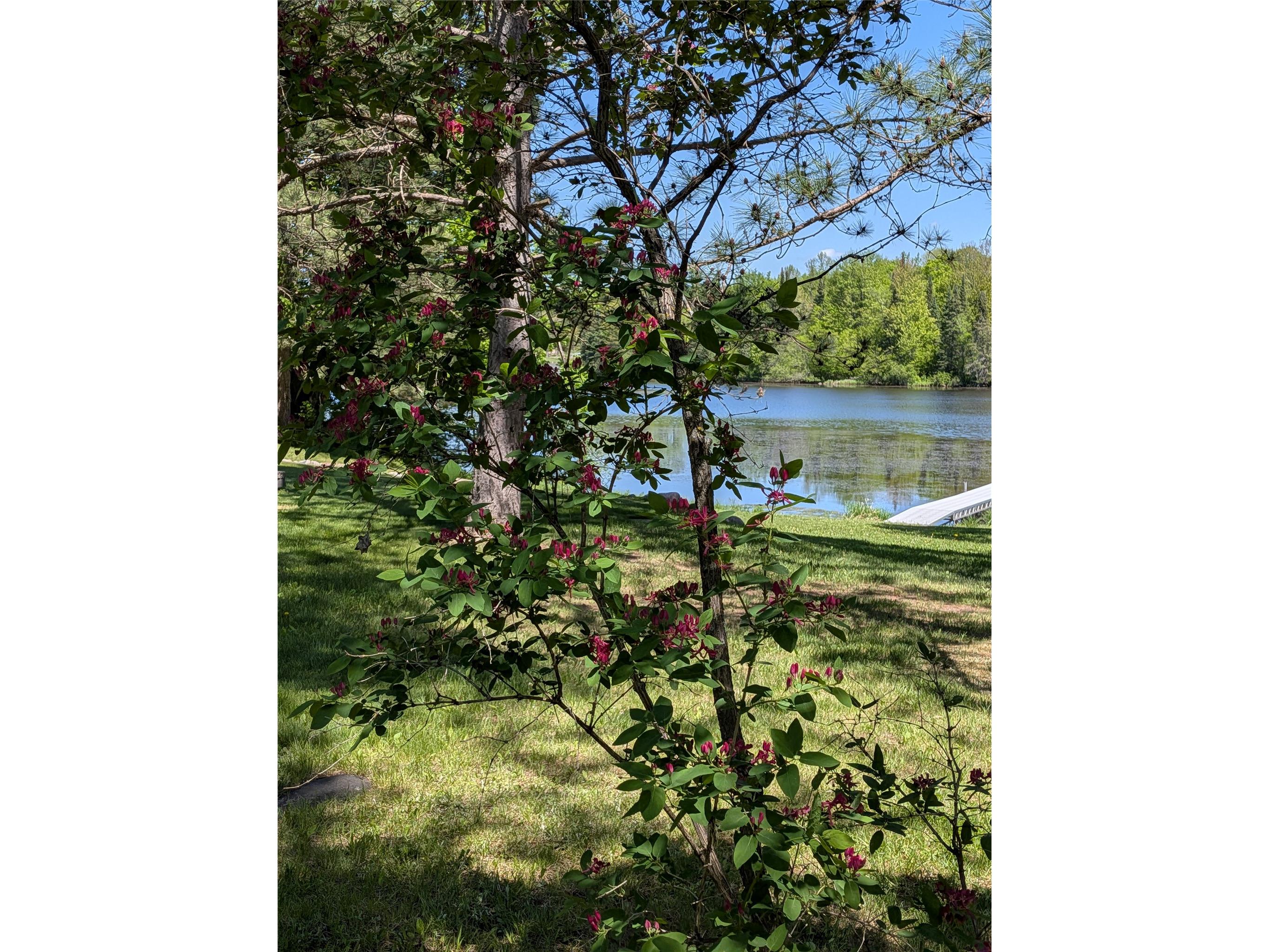 N6332 Laverne Lane Hawkins WI 54530 - LaVerne 1601740 image57