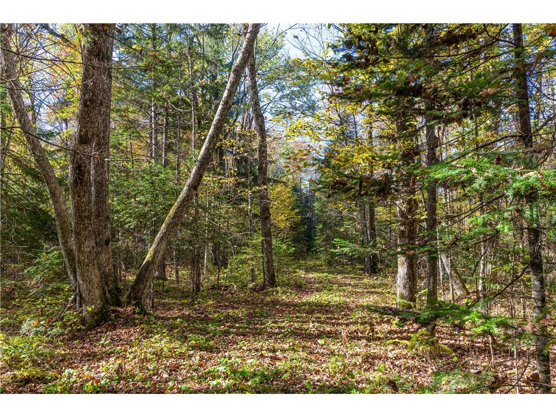 N6333N6351N6369 Kaiser Road Hawkins WI 54530 - Lake Laverne 1596166 image10