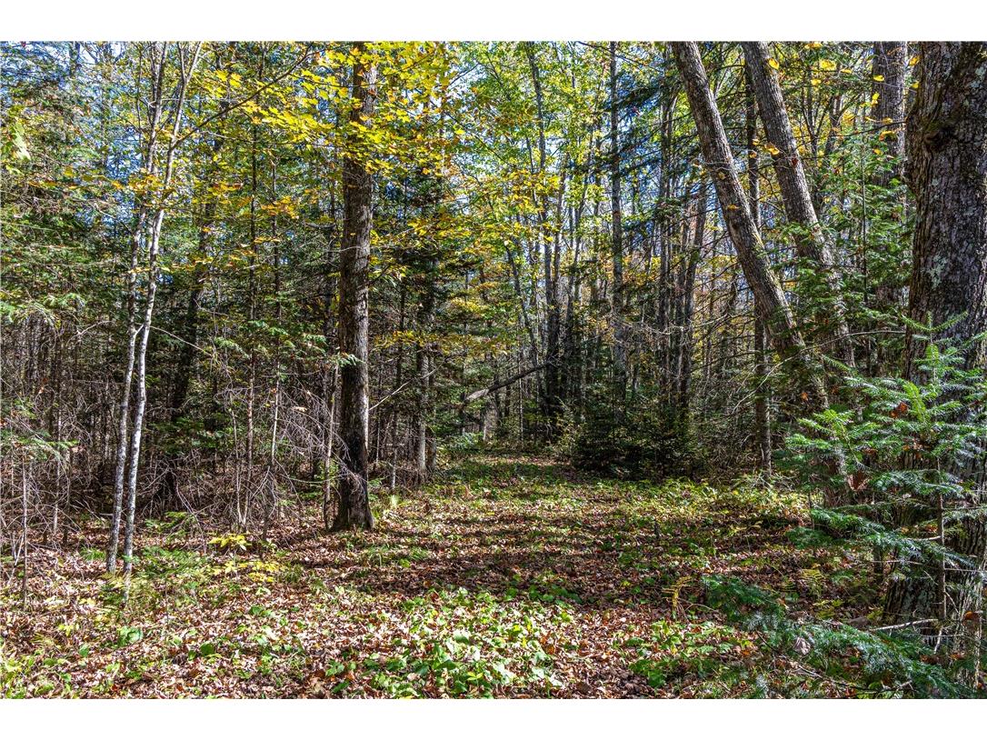 N6333N6351N6369 Kaiser Road Hawkins WI 54530 - Lake Laverne 1596166 image11