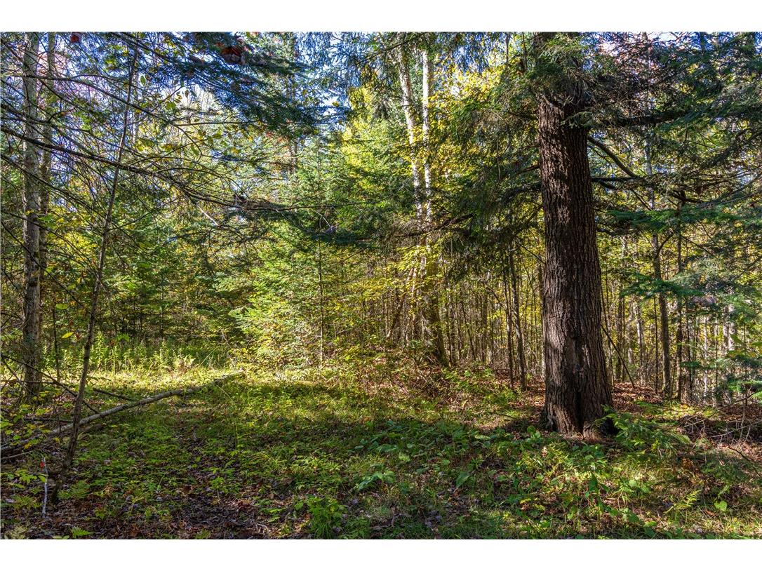 N6333N6351N6369 Kaiser Road Hawkins WI 54530 - Lake Laverne 1596166 image14