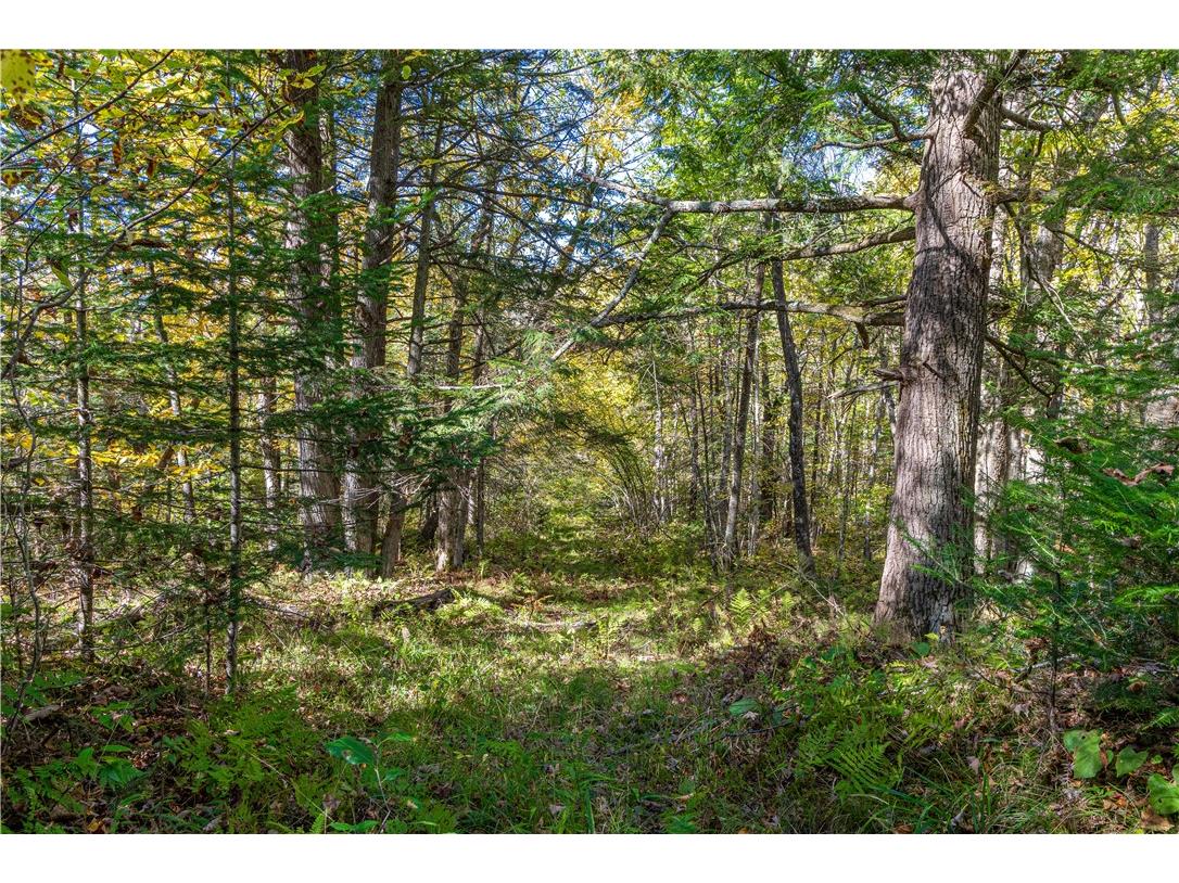 N6333N6351N6369 Kaiser Road Hawkins WI 54530 - Lake Laverne 1596166 image15