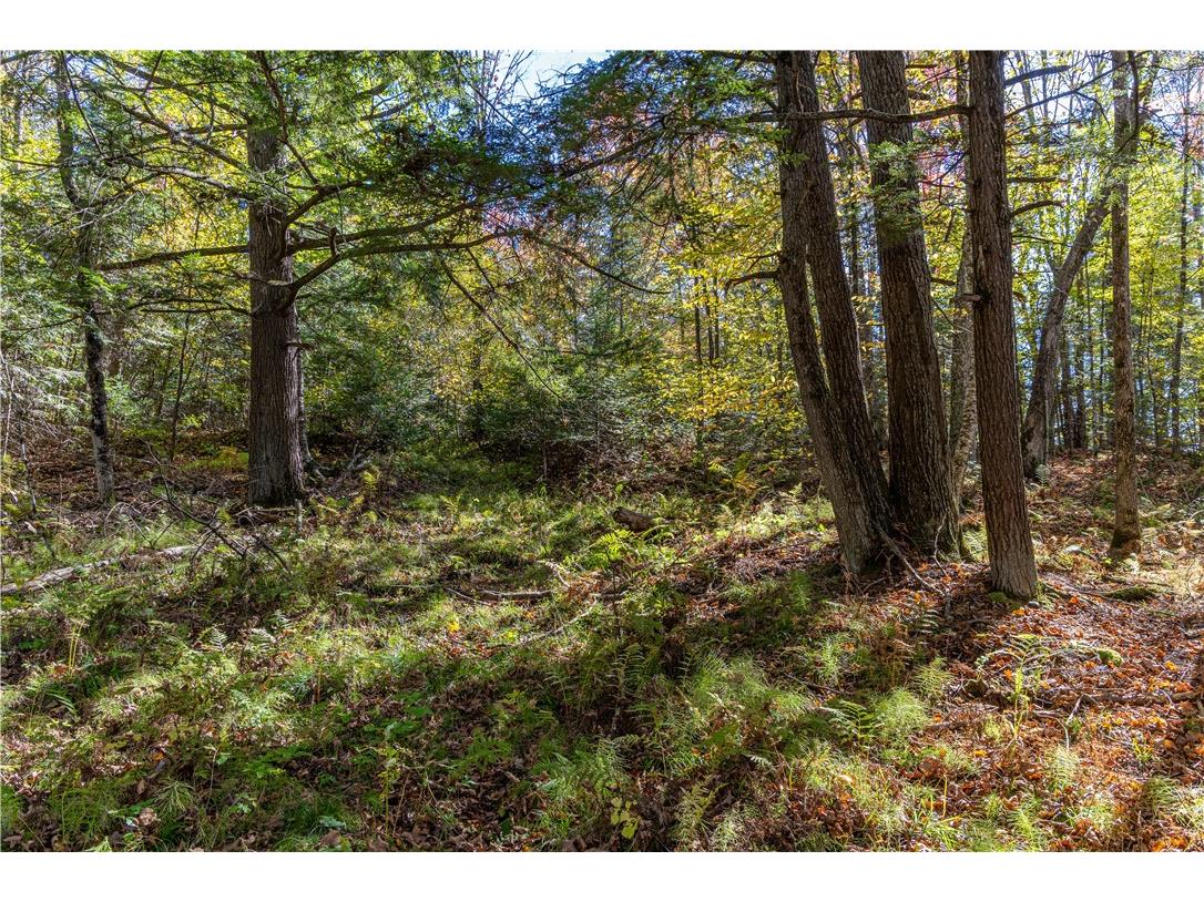 N6333N6351N6369 Kaiser Road Hawkins WI 54530 - Lake Laverne 1596166 image16