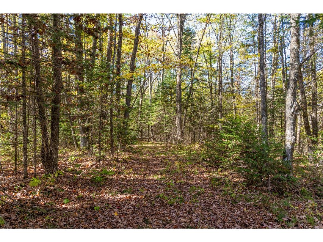 N6333N6351N6369 Kaiser Road Hawkins WI 54530 - Lake Laverne 1596166 image9