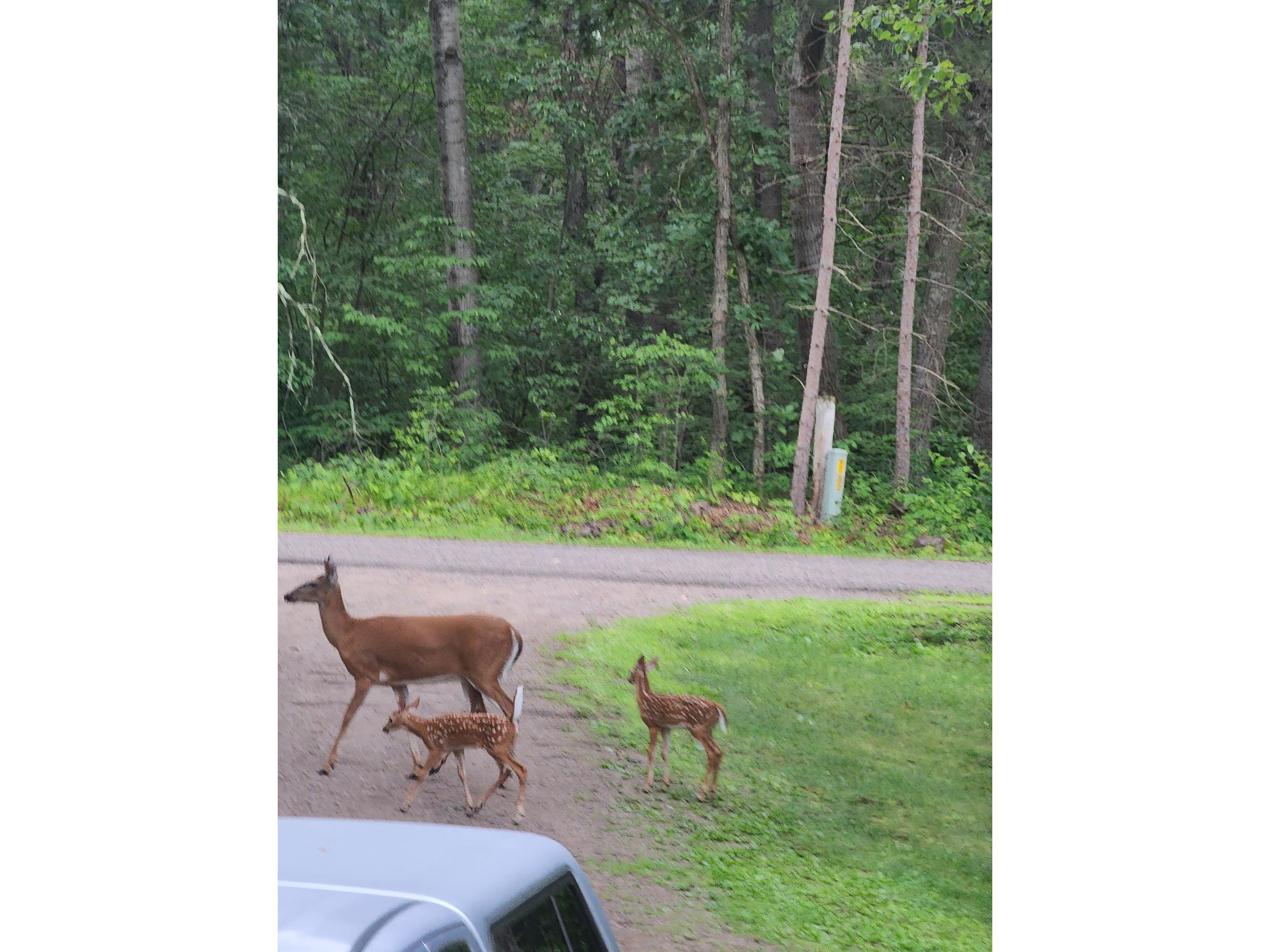 N6450 Ellsworth Lake Drive Spooner WI 54801 1597982 image41