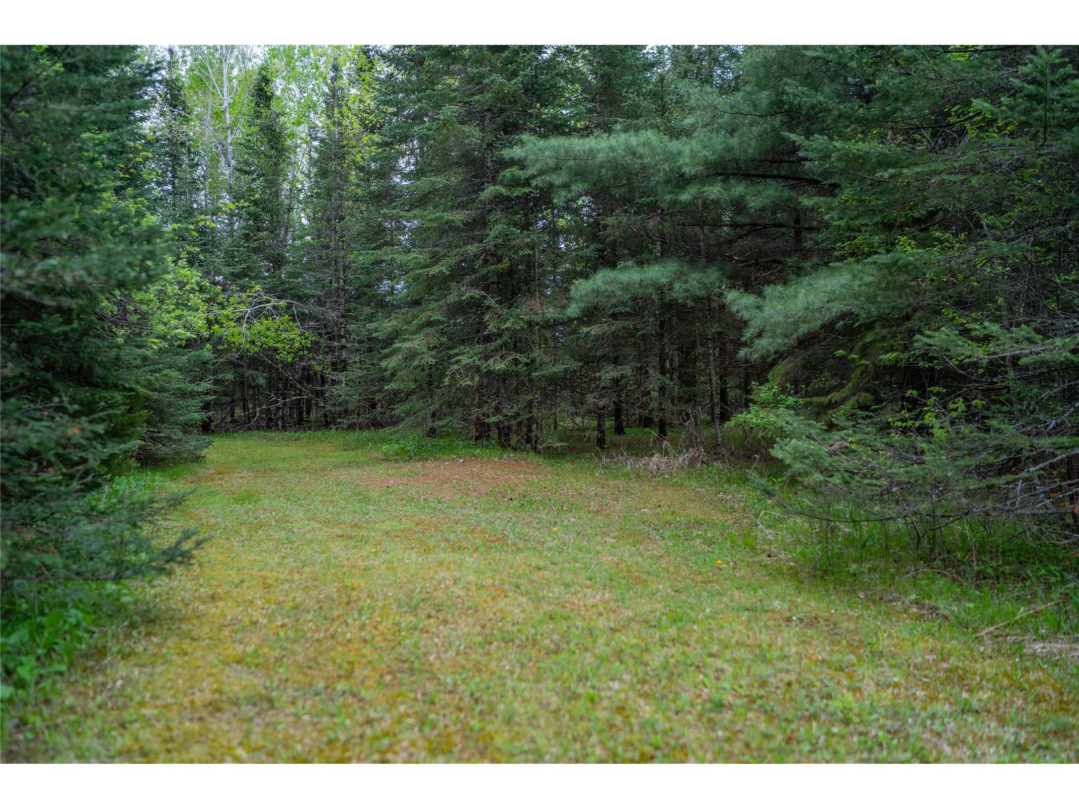 N6481 Candy Drive Hawkins WI 54530 - Lake La Verne 1601336 image12