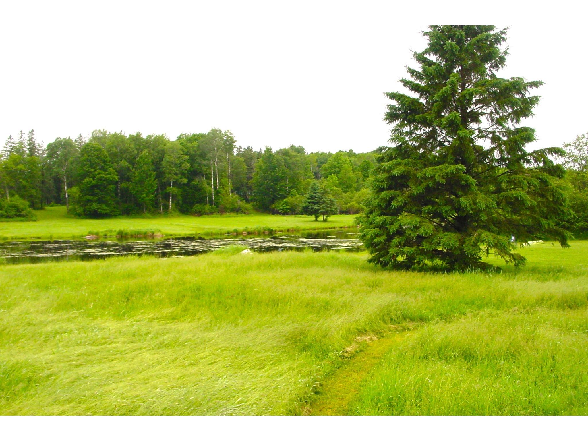 N6659 Kaiser Road Hawkins WI 54530 - LaVerne 1602187 image30