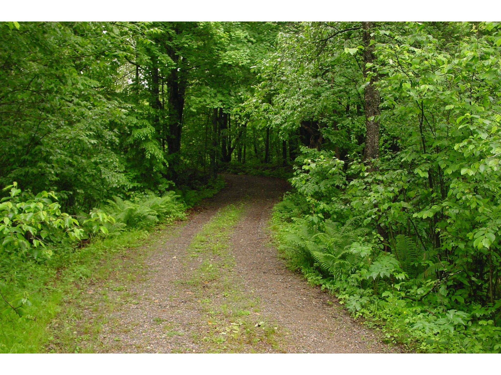N6659 Kaiser Road Hawkins WI 54530 - LaVerne 1602187 image32
