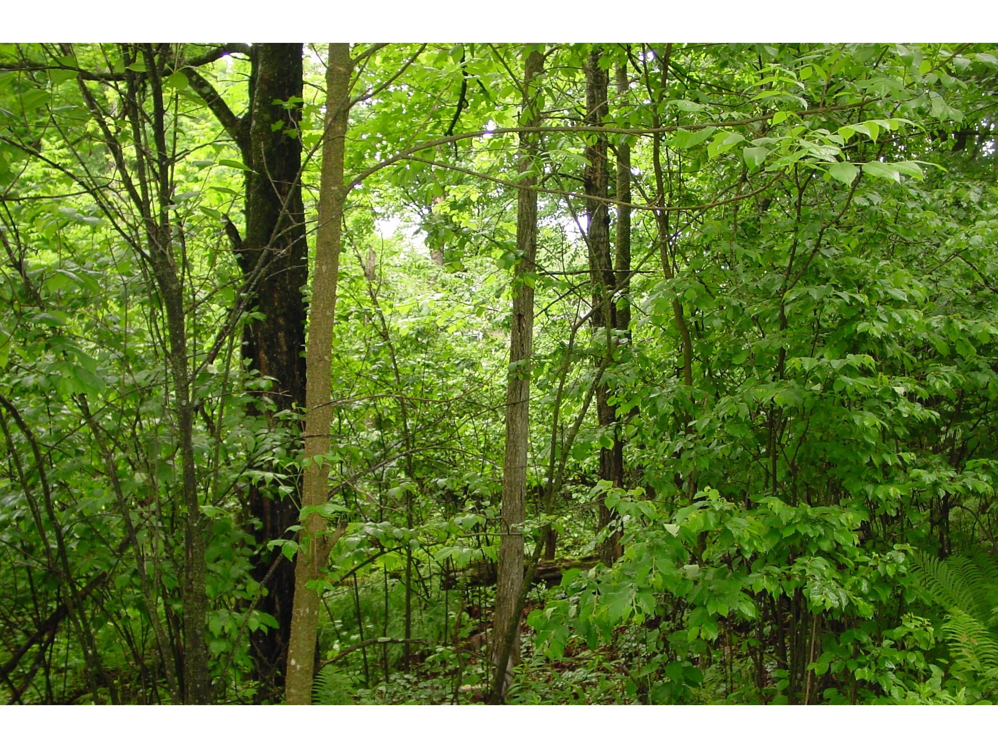 N6659 Kaiser Road Hawkins WI 54530 - LaVerne 1602187 image33