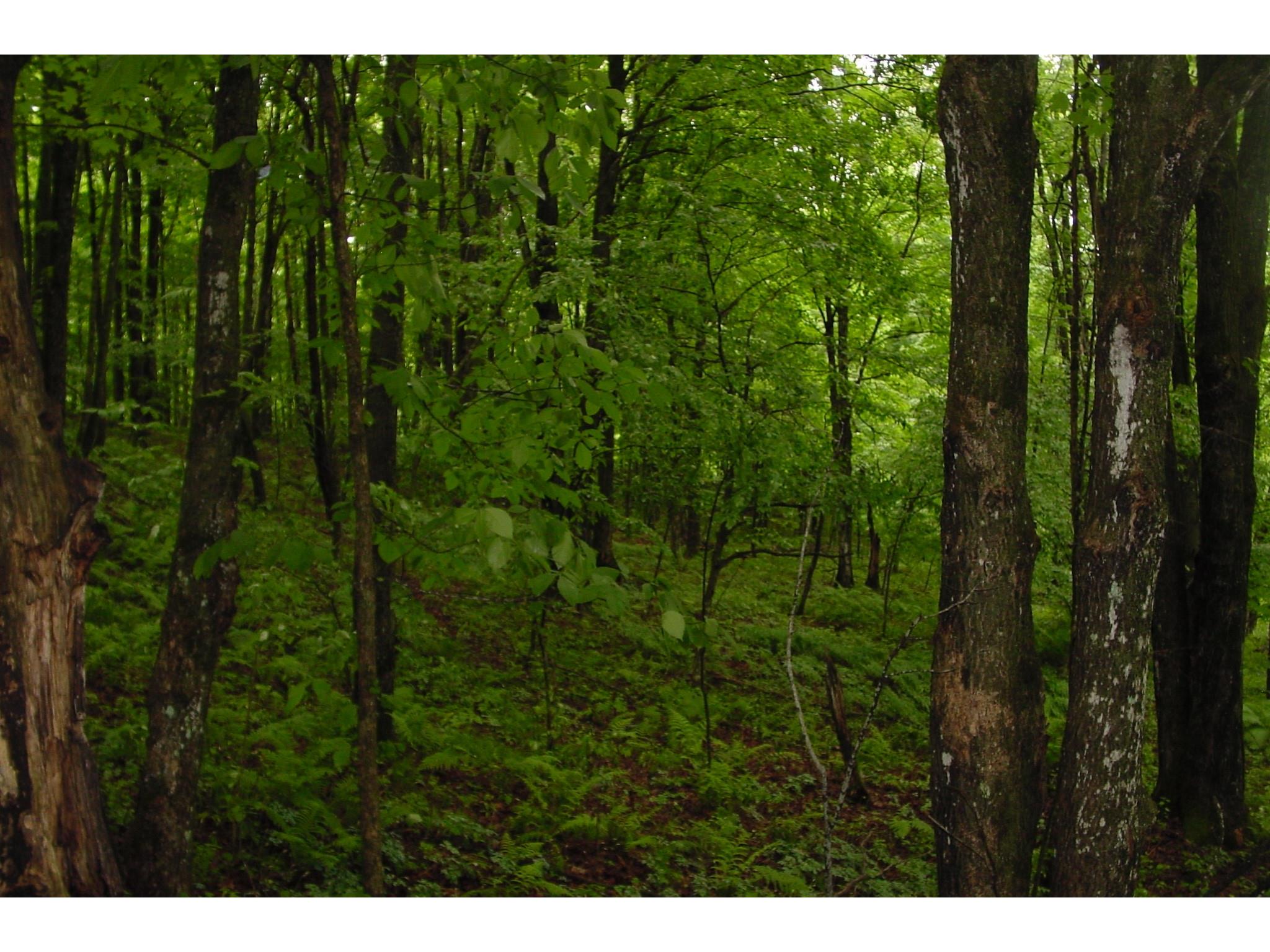 N6659 Kaiser Road Hawkins WI 54530 - LaVerne 1602187 image35