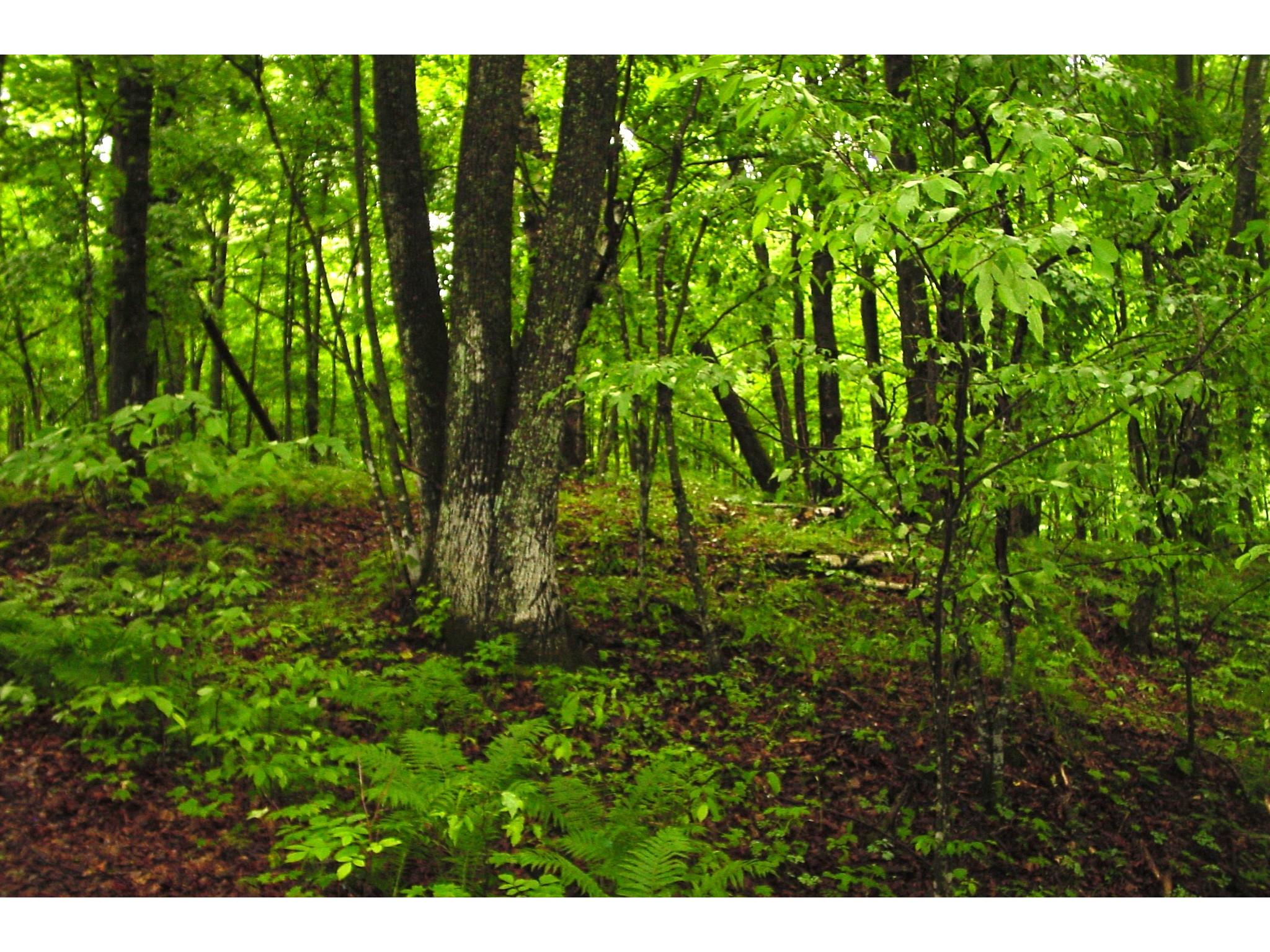N6659 Kaiser Road Hawkins WI 54530 - LaVerne 1602187 image37